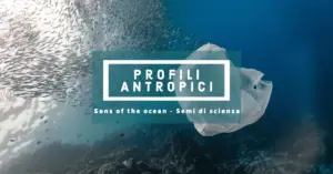 Presentazione progetto "Profili Antropici"